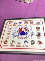 Full view of framed AHL pin display