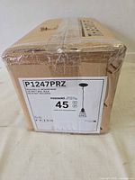 Factory-sealed Feiss P1247PRZ light fixture box front label visible