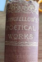 Book spine showing gilt title and cloth wear