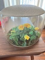 Full view of acrylic dome terrarium on table showing yellow flowers and moss inside