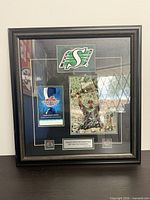 Full view of framed commemorative display