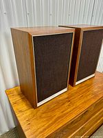 Front view of both Panasonic bookshelf speakers showing brown grille cloth and gold trim