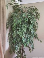 Full view of artificial ficus tree against wall