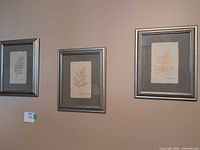 Three framed pressed leaf artworks on wall