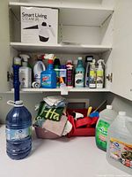 Full cabinet view showing steamer box, multiple cleaners, cloths, plunger, jugs