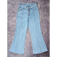 Full frontal view of jeans showing flare cut and button fly