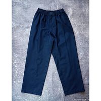 Full view of blue Logistik Gore-Tex pants front