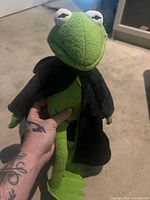 Front view of Kermit plush without hood raised, showing overall condition and features