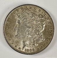 Obverse view showing Liberty head and date 1889