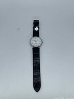Entire watch full length showing strap and case