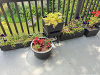 Six planters and stand arranged along deck railing