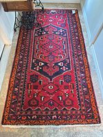 Full view of red Persian runner rug on floor