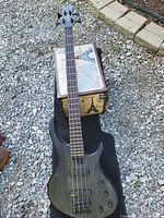 Full view of Tobias 4-string bass guitar on case