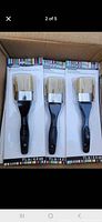 Front view of blister-packed brushes inside shipping box
