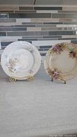 Front view of both floral porcelain plates on stands