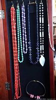 All five necklaces hanging on hooks inside cabinet door