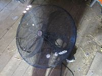 Top view of fan showing grille and blades