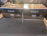 Two sealed Halo light boxes on table
