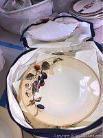 Set of decorative plates with hand-painted fruit and leaf designs, plated inside fabric-lined carriers for protection.