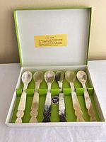 Open box displaying six spoons secured in slots