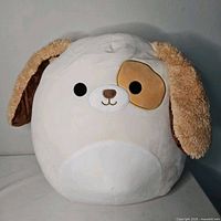 Front view of Harrison the Dog 16" Squishmallows plush showing overall appearance