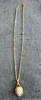 Full view of necklace showing chain and pendant