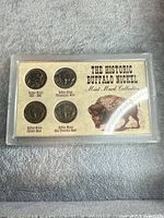 Overall view of plastic holder showing four Buffalo nickels on printed card