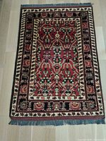 Full view of rectangular rug showing design and fringe