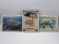 Front view of three 2021 Allen & Ginter insert cards: Whale Shark, Cherry Tree, Manatee