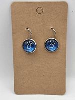 Front view of both earrings on display card showing design