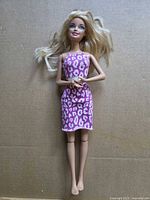 Front view of Barbie doll in pink leopard dress