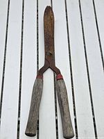 Full view closed hedge shears front