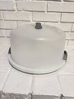 Full view of assembled cake carrier showing frosted dome and latches