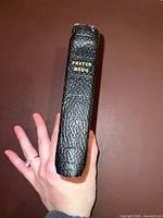 Spine view showing gilt title and textured leather