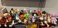 Full group view of the 30 Ty Beanie Babies plush animals on shelf