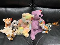 Group shot showing all six Ty plushes