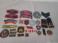 Overview of entire lot showing variety and quantity of patches