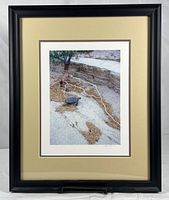 Full view of framed photograph with mats