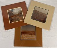 All three matted photographs arranged to show colors and sealing
