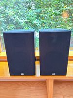 Front view of both speakers with grilles attached