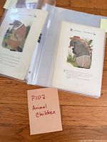 Binder showing two sleeved illustrated pages from "Animal Children"