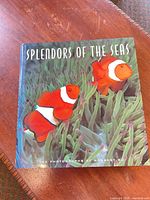 Front cover showing title and clownfish image