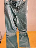 Full view of teal pleather pants front side