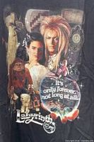 Close-up of front graphic showing Labyrinth characters, text and anniversary logo