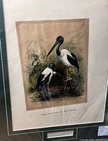 Full view of framed print with mat and frame