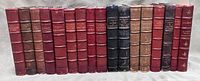 Row of 17 books showing leather spines and gilt titles