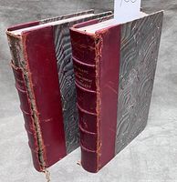 Both volumes standing showing quarter-leather bindings and wear