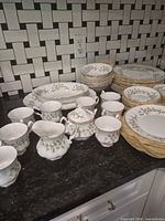 Entire dinnerware set on countertop showing quantity and variety
