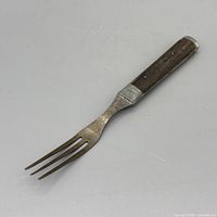 Fork full view showing handle and tines