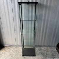 Full front view of glass cabinet showing three shelves and door